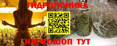 прущие грибы Уссурийск