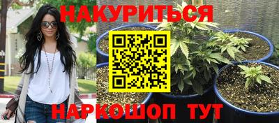прущие грибы Уссурийск